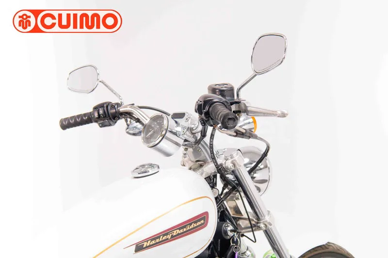 Harley-Davidson Sportster 883 - Vista 30
