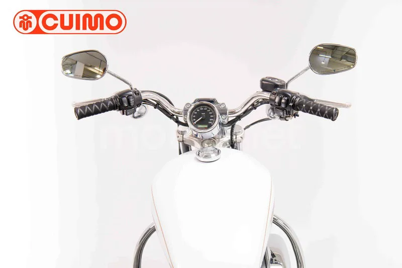 Harley-Davidson Sportster 883 - Vista 33