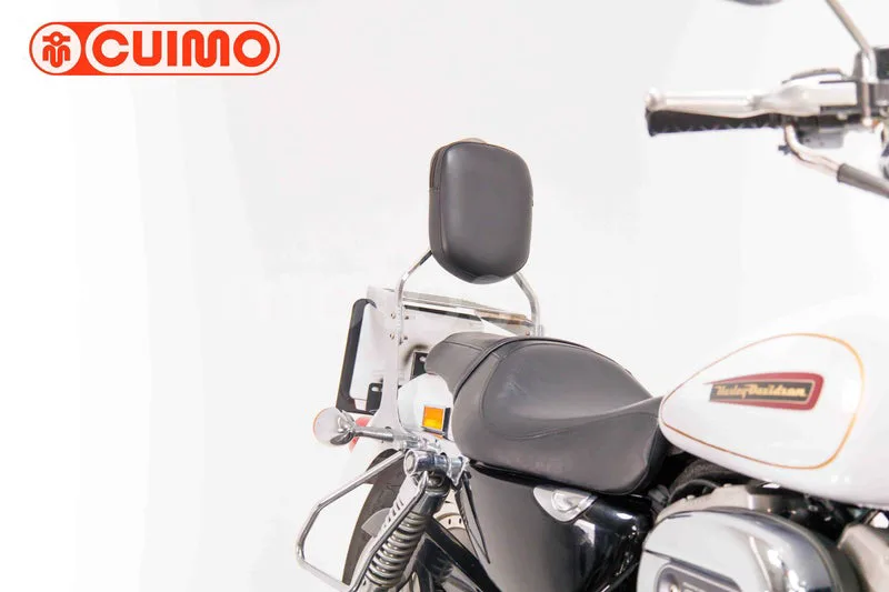 Harley-Davidson Sportster 883 - Vista 12