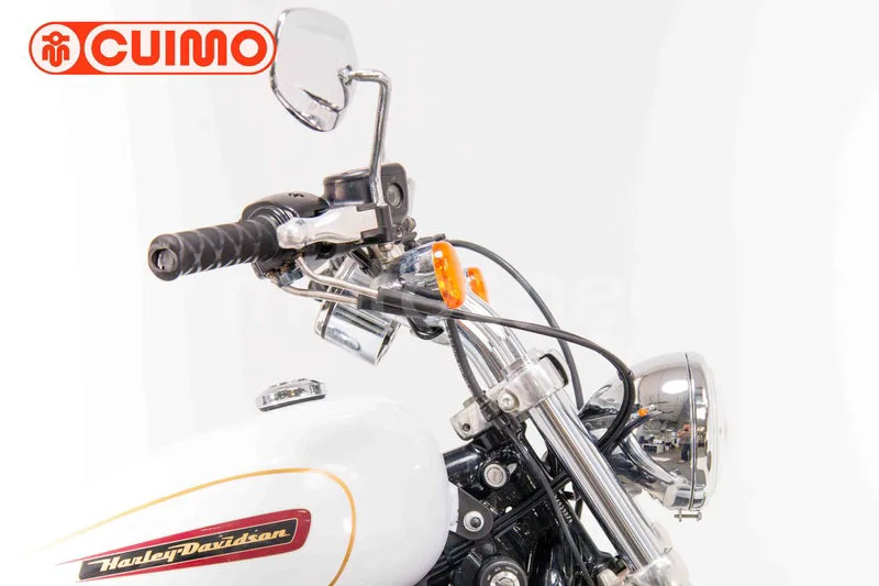 Harley-Davidson Sportster 883 - Vista 13