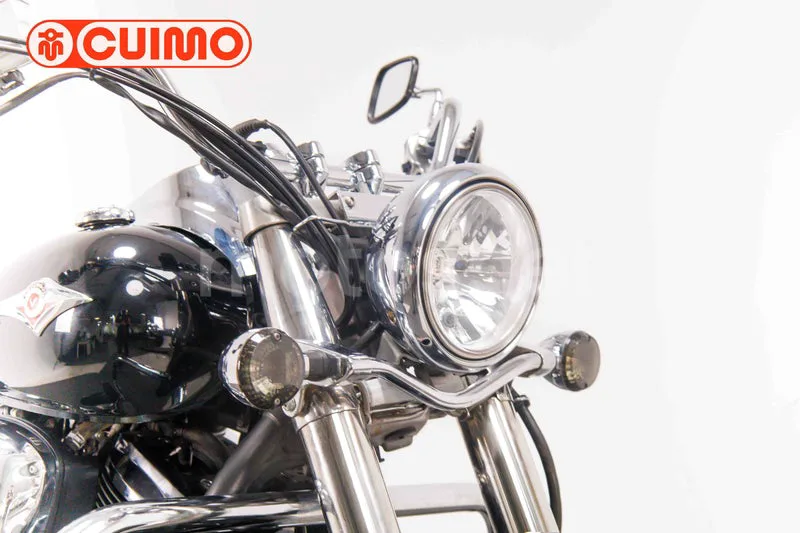 Kawasaki VN900 Classic - Vista 11