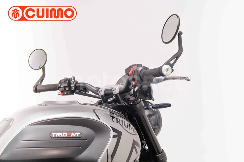 Triumph Trident 660 - Vista 24