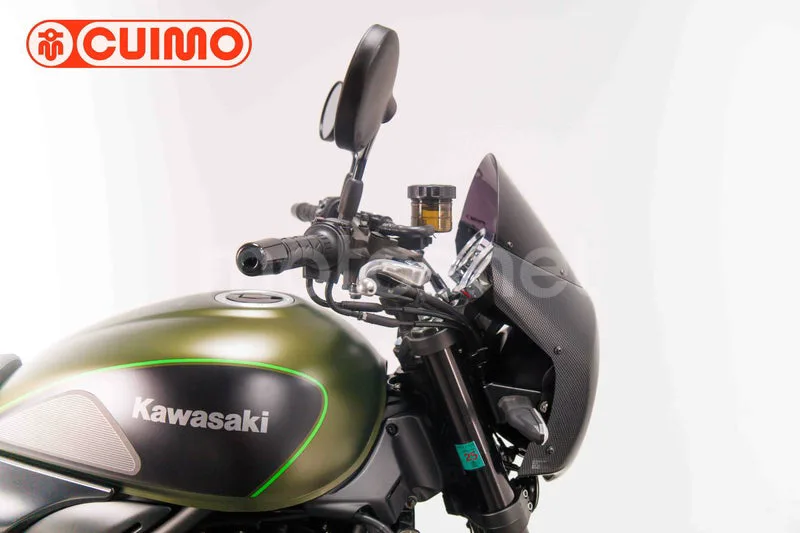 Kawasaki Z900RS - Vista 13