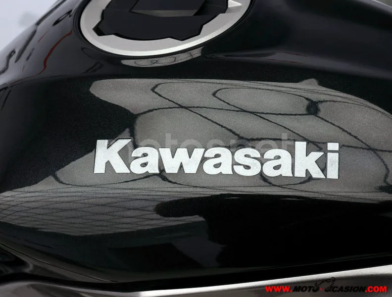 Kawasaki Ninja 125 - Vista 9
