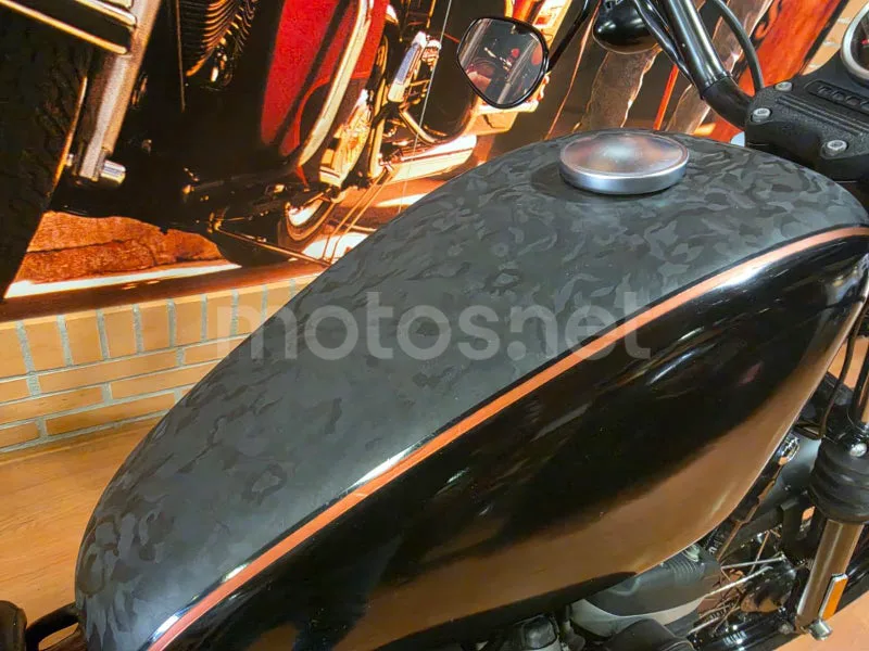 Harley-Davidson Iron 883 - Vista 5