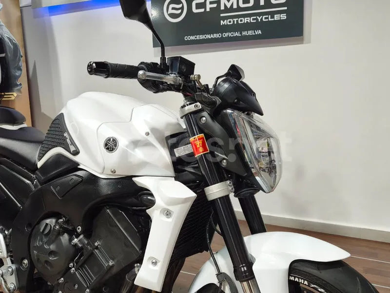 Yamaha FZ1 - Vista 13