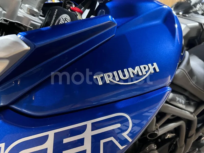 Triumph Tiger 800 XR - Vista 49