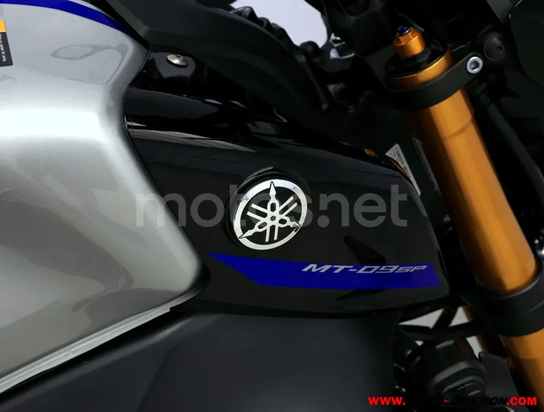 Yamaha MT-09 - Vista 9