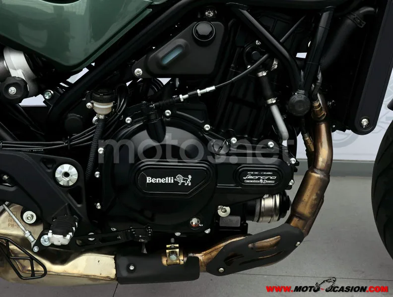 Benelli Leoncino 500 - Vista 5