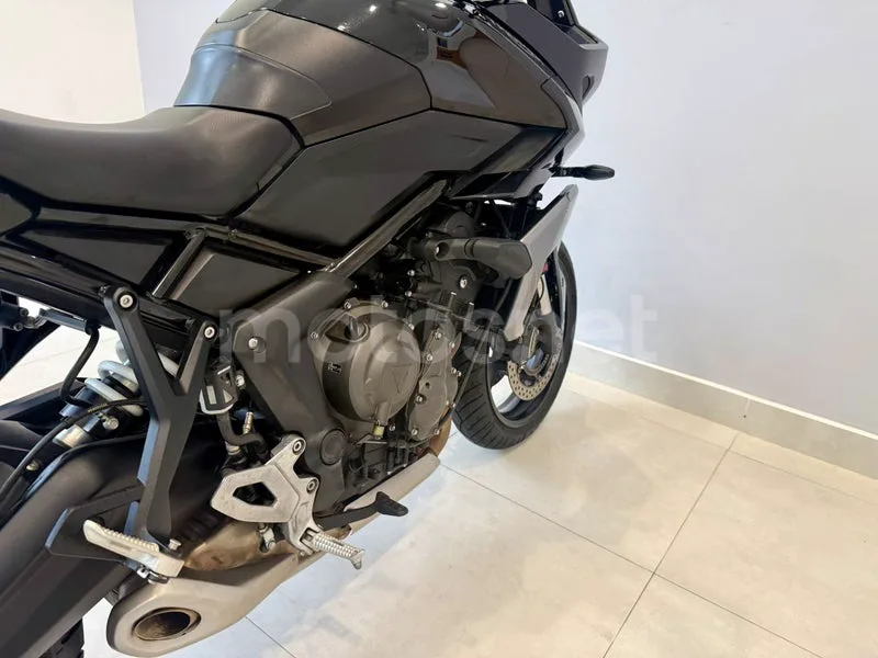 Triumph Tiger Sport 660 - Vista 10