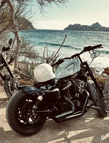 Harley-Davidson Iron 883 - Vista 9