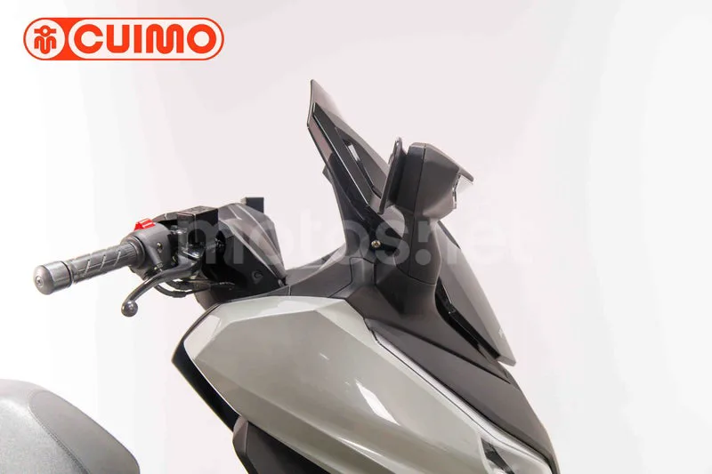 Honda Forza 350 - Vista 13