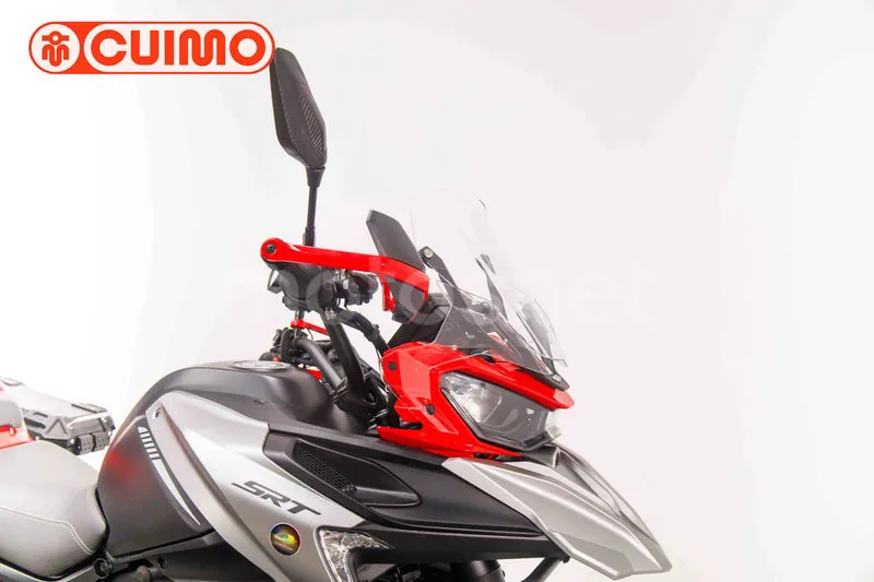 QJ Motor SRT 900 SX - Vista 15