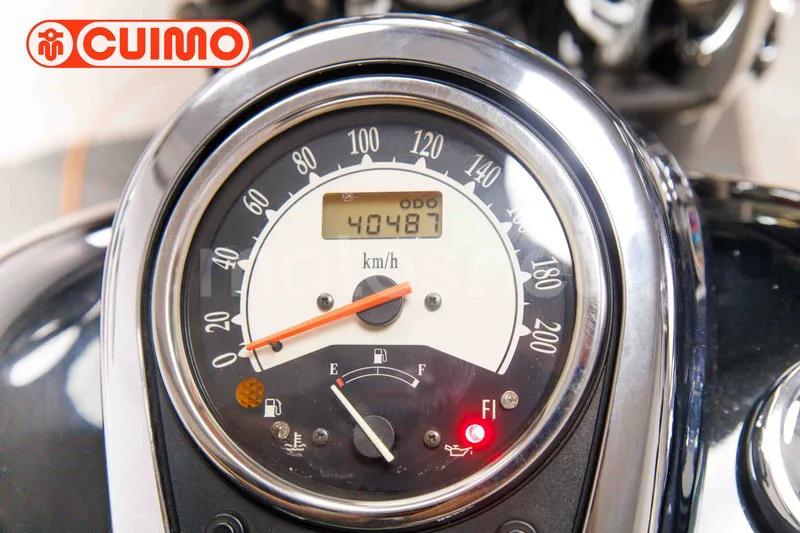 Kawasaki VN900 Classic - Vista 24