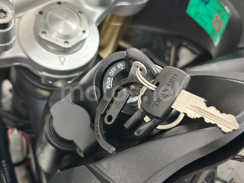 Triumph Tiger 800 - Vista 12