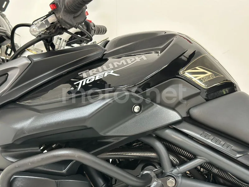 Triumph Tiger 800 - Vista 18