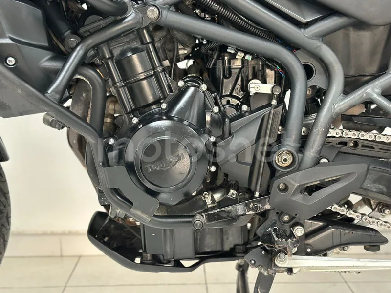 Triumph Tiger 800 - Vista 19