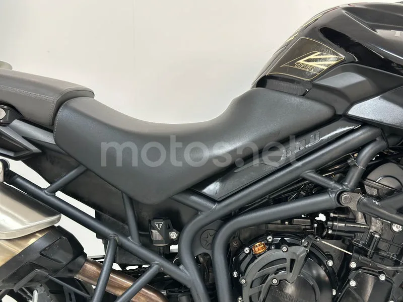 Triumph Tiger 800 - Vista 30