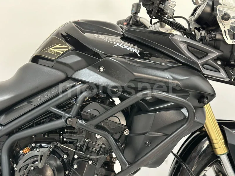 Triumph Tiger 800 - Vista 32