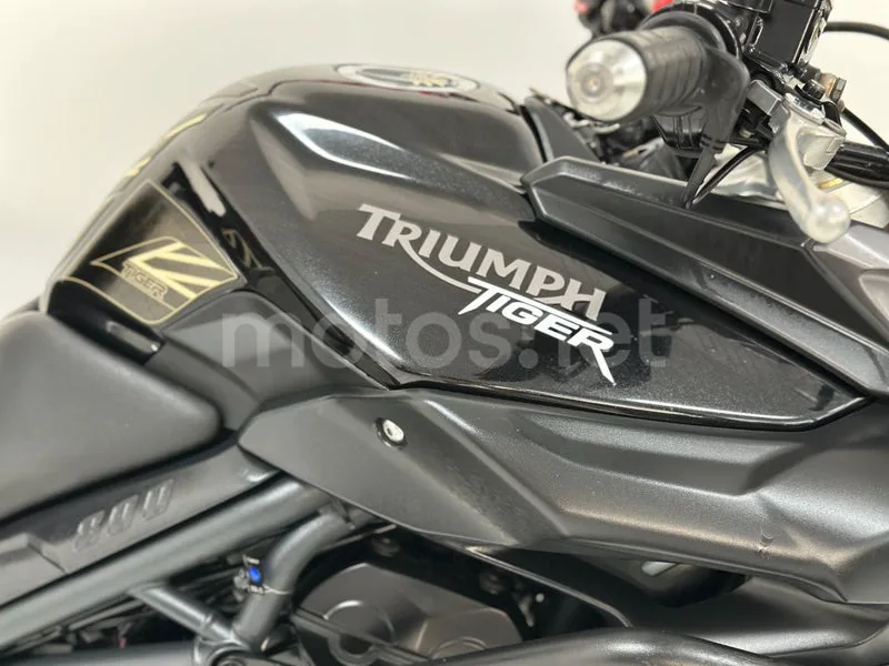 Triumph Tiger 800 - Vista 33