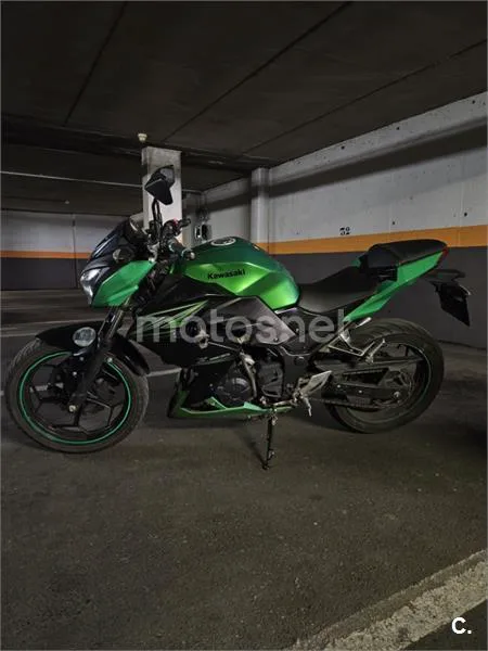 Kawasaki Z300 - Vista 5