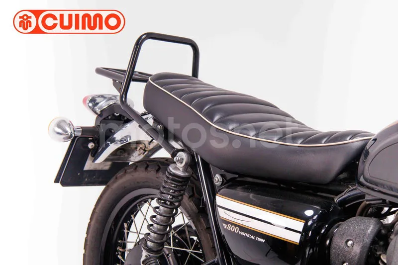 Kawasaki W800 - Vista 12