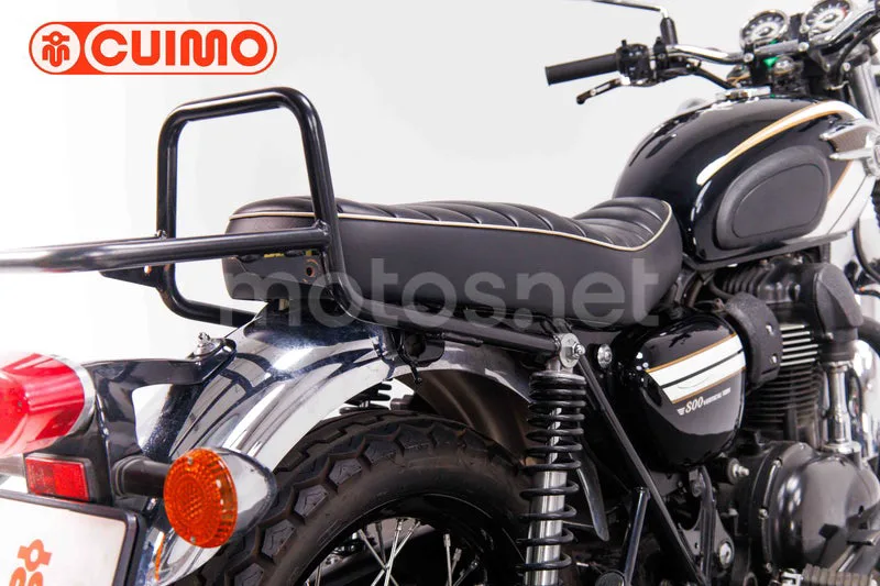 Kawasaki W800 - Vista 16