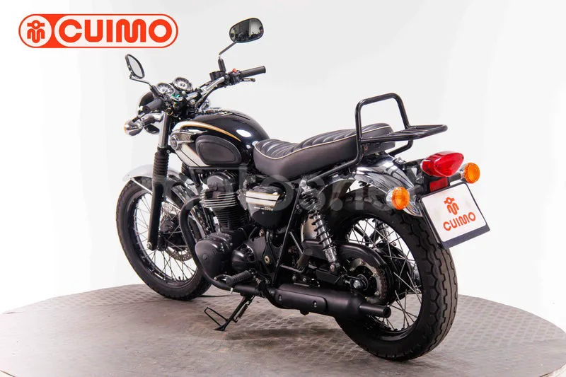 Kawasaki W800 - Vista 12