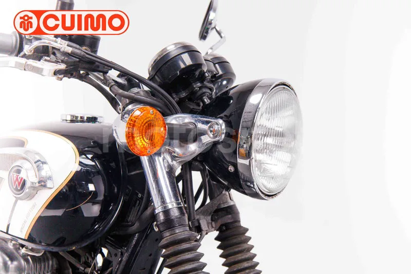 Kawasaki W800 - Vista 21