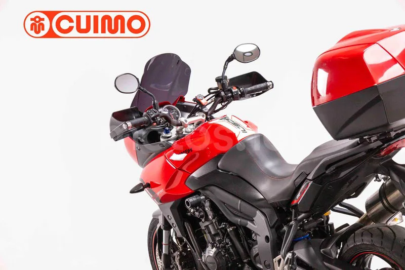 Triumph Tiger Sport 1050 - Vista 14