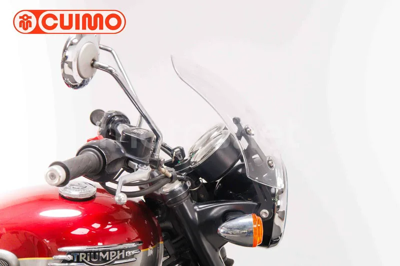 Triumph Bonneville T120 - Vista 11
