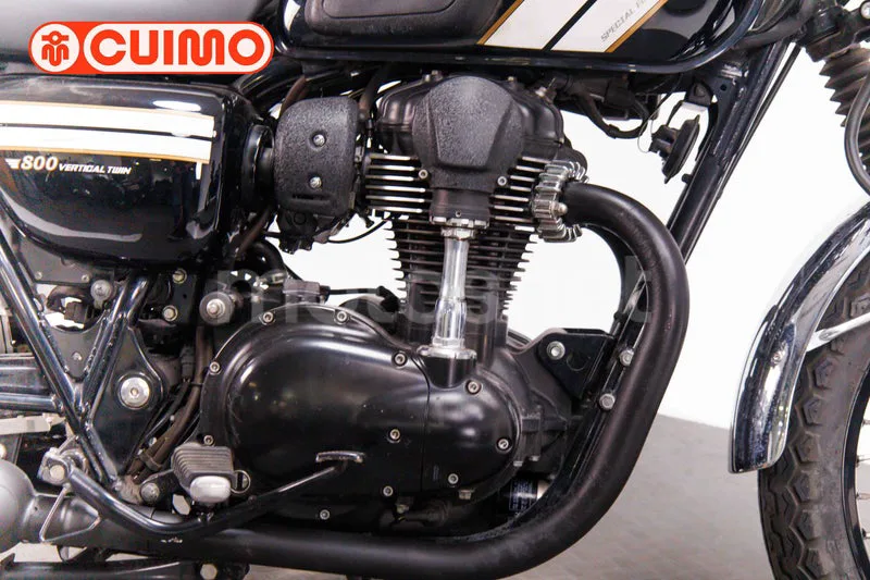 Kawasaki W800 - Vista 13