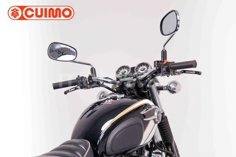 Kawasaki W800 - Vista 15
