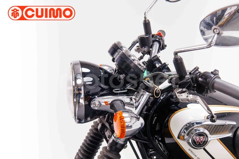 Kawasaki W800 - Vista 20