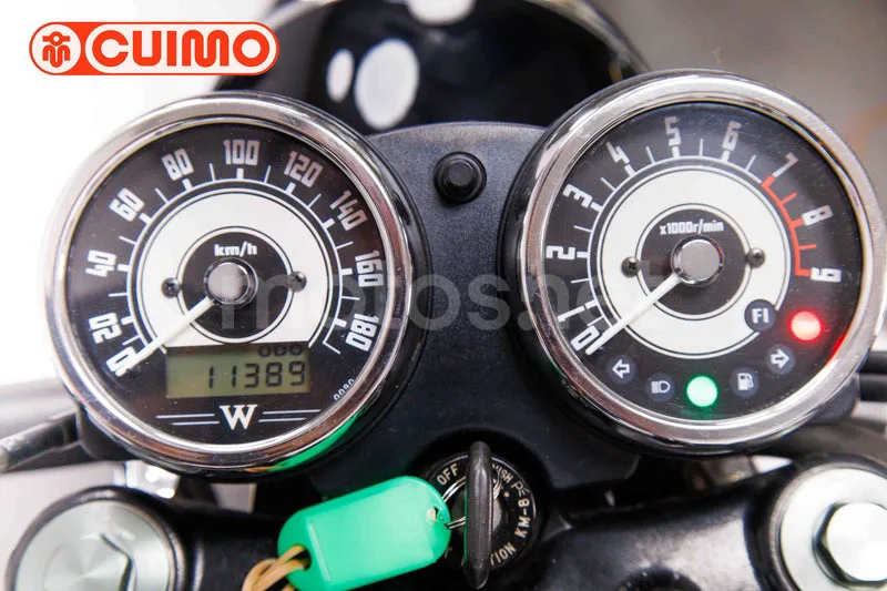 Kawasaki W800 - Vista 24