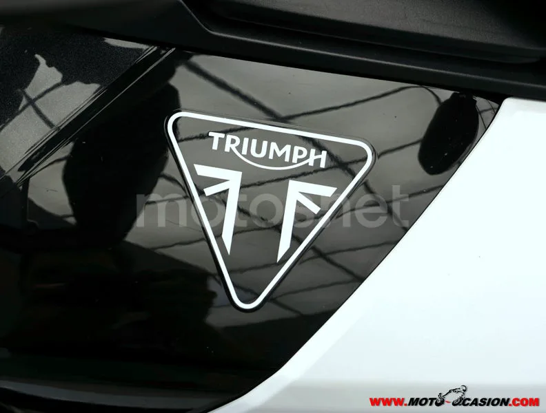 Triumph Tiger 900 - Vista 9