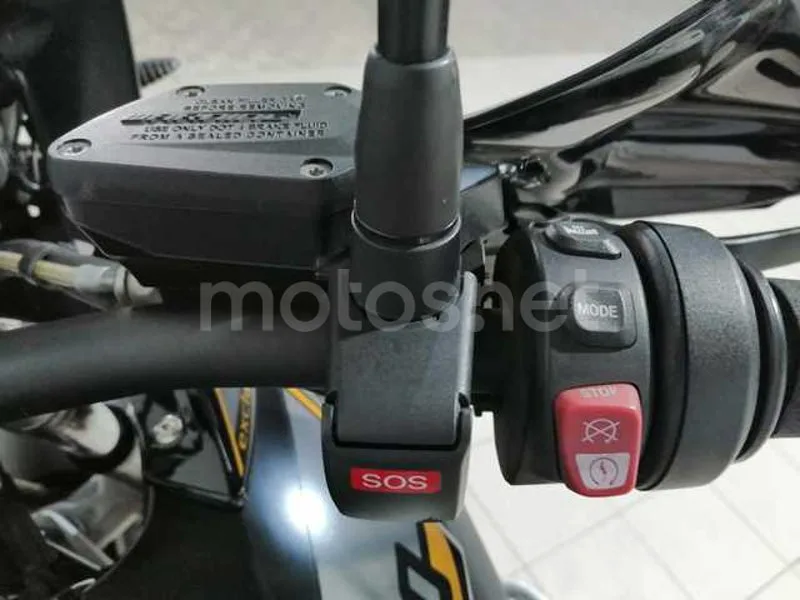 BMW R 1250 GS - Vista 8
