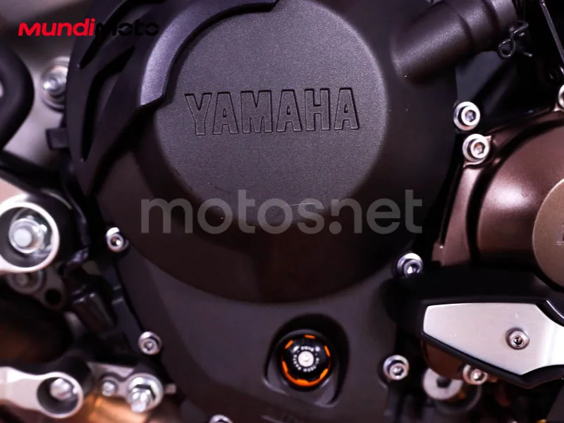 Yamaha MT-09 - Vista 13