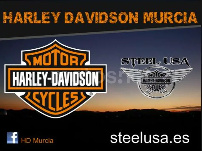 Harley-Davidson Softail Standard - Vista 3