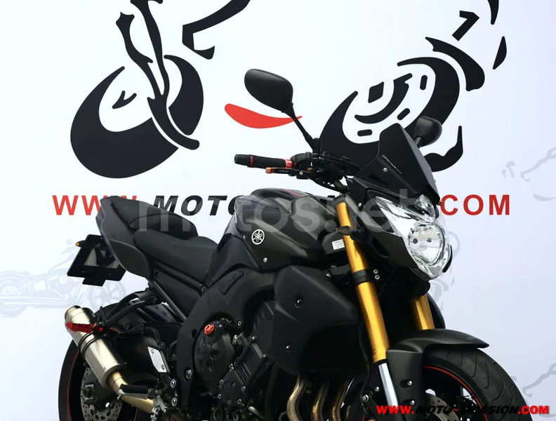 Yamaha FZ8 - Vista 4