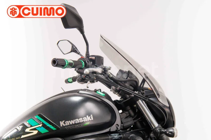 Kawasaki Vulcan S - Vista 14