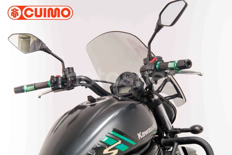Kawasaki Vulcan S - Vista 19