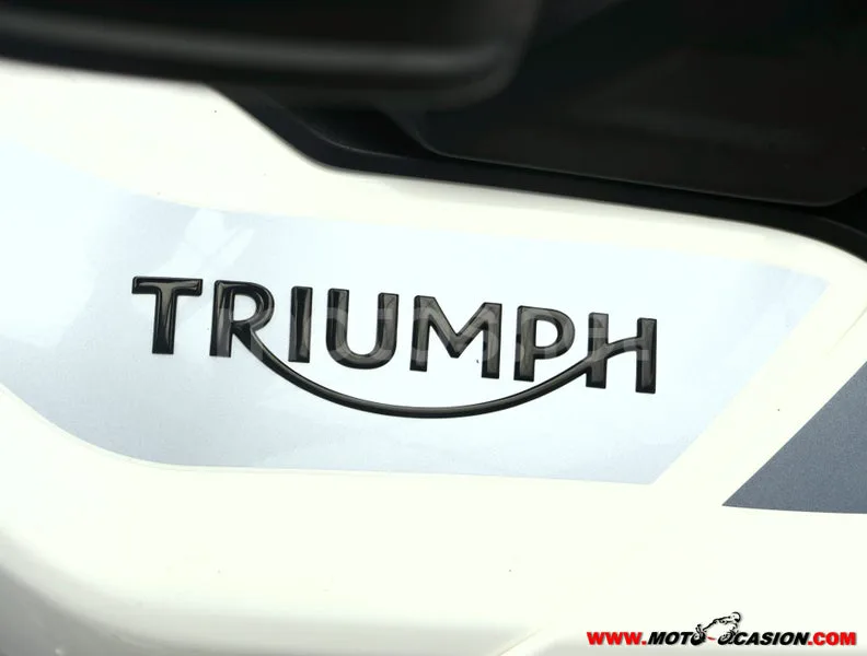 Triumph Tiger 900 - Vista 9