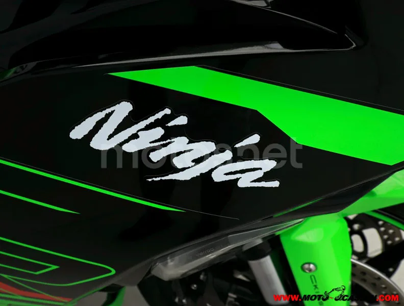 Kawasaki Ninja ZX-6R - Vista 9