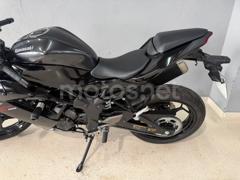 Kawasaki Ninja 125 - Vista 5