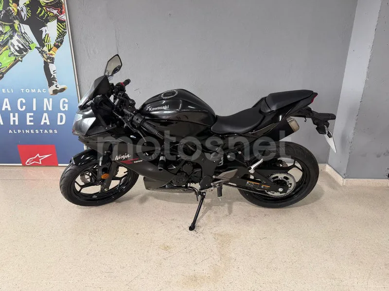 Kawasaki Ninja 125 - Vista 7