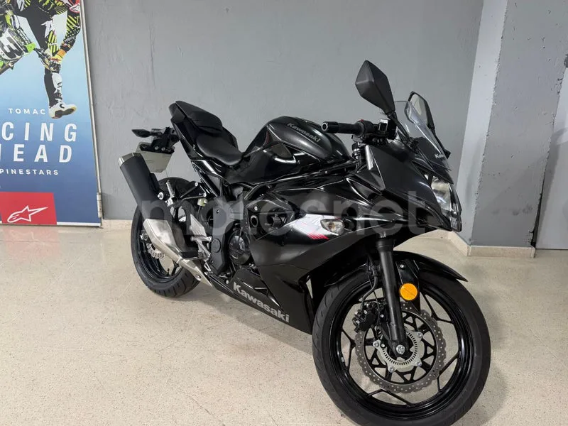 Kawasaki Ninja 125 - Vista 8