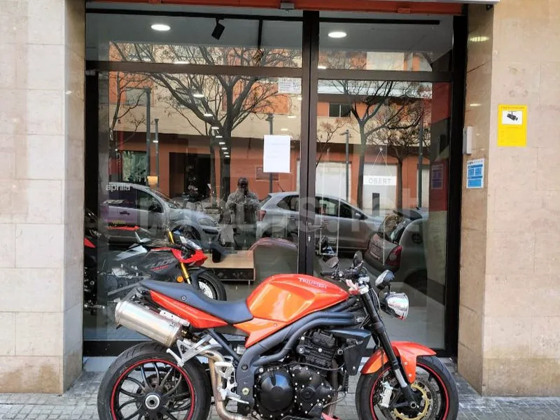 Triumph Speed Triple - Vista 10