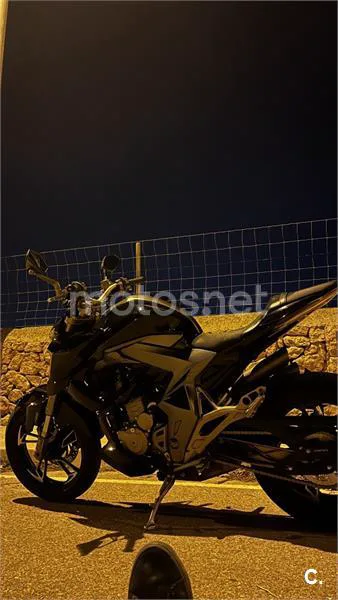 Zontes 310 R - Vista 10