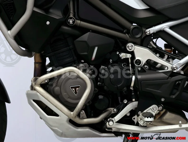 Triumph Tiger 1200 Rally - Vista 10